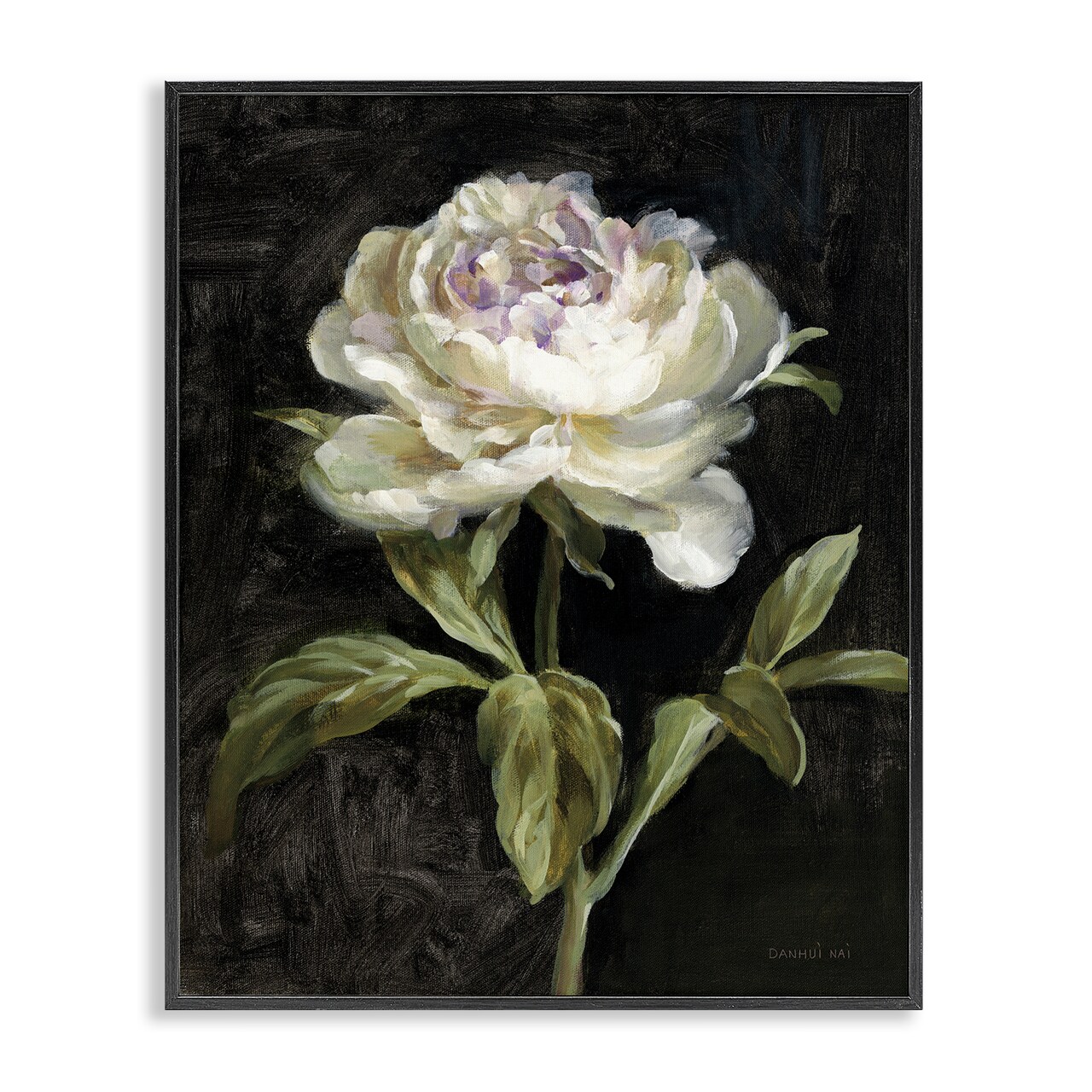 Stupell Industries Peony on Black Framed Giclee Wall Art Design by Danhui Nai
